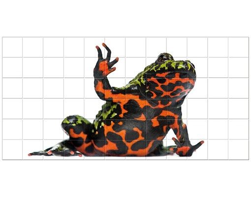 Tile films red Fire-bellied Toad