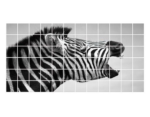 Film adhesive Roaring Zebra ll