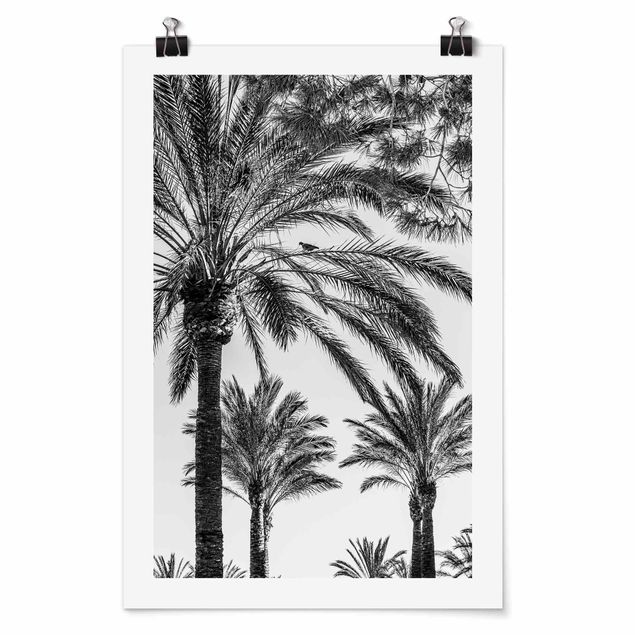Art posters Palm Trees At Sunset Black And White