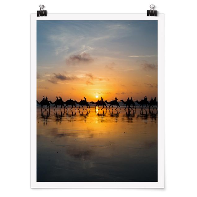 Contemporary art prints Camels in the sunset