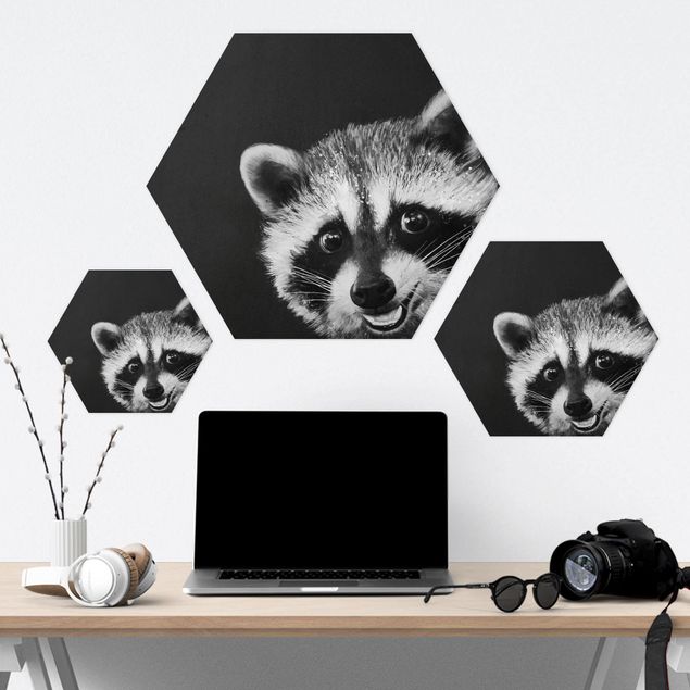 Prints Illustration Racoon Black And White Painting