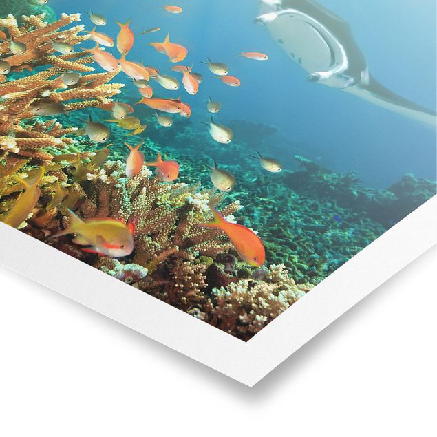 Prints modern Coral reef