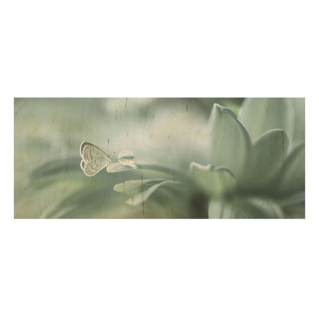 Wood prints flower Butterfly And Dew Drops In Pastel Green