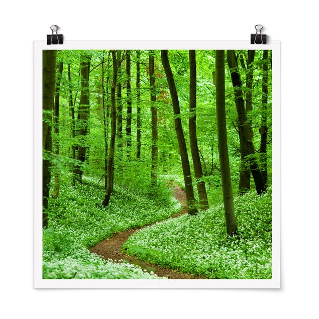 Trees on canvas Romantic Forest Track