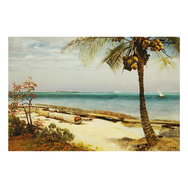 Glass splashback landscape Albert Bierstadt - Coast In The Tropics