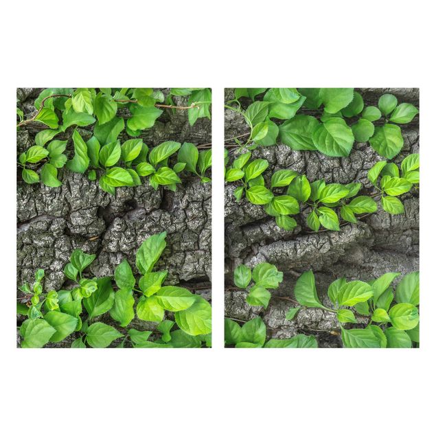 Floral prints Ivy Tendrils Tree Bark
