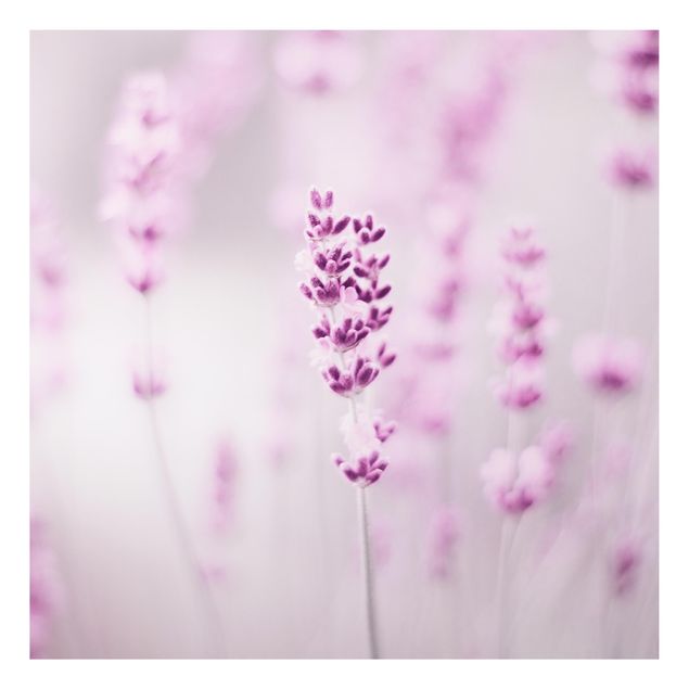 Floral canvas Pale Purple Lavender