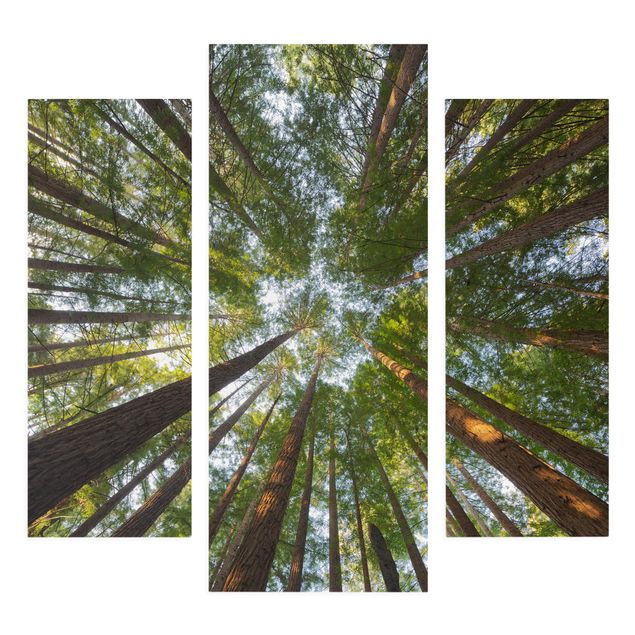 Prints modern Sequoia Tree Tops