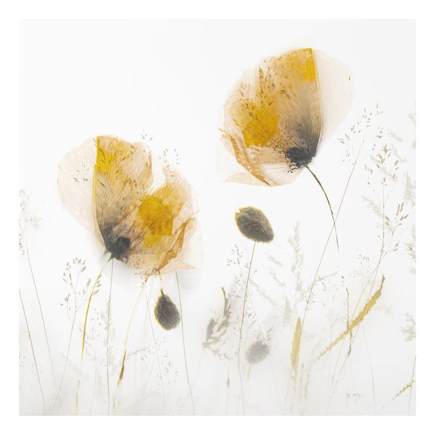 Splashback - Poppy Flowers And Delicate Grasses In Soft Fog  - Square 1:1