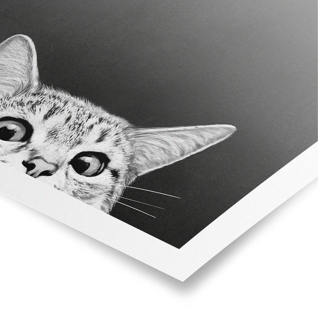 Posters art print Illustration Cat Black And White Drawing