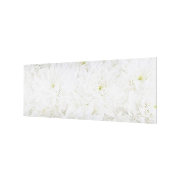 Glass Splashback - Dahlias Sea Of Flowers White - Panoramic