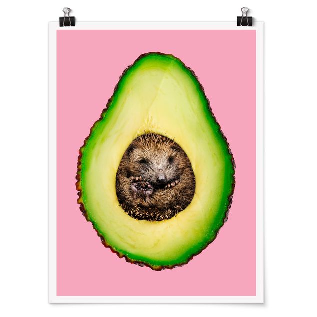 Animal wall art Avocado With Hedgehog