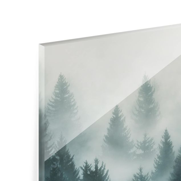 Glass Splashback - Coniferous Forest In Fog - Landscape 2:3