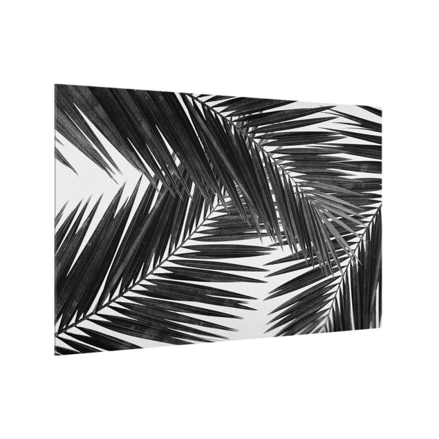 Glass splashback art print View Over Palm Leaves Black And White
