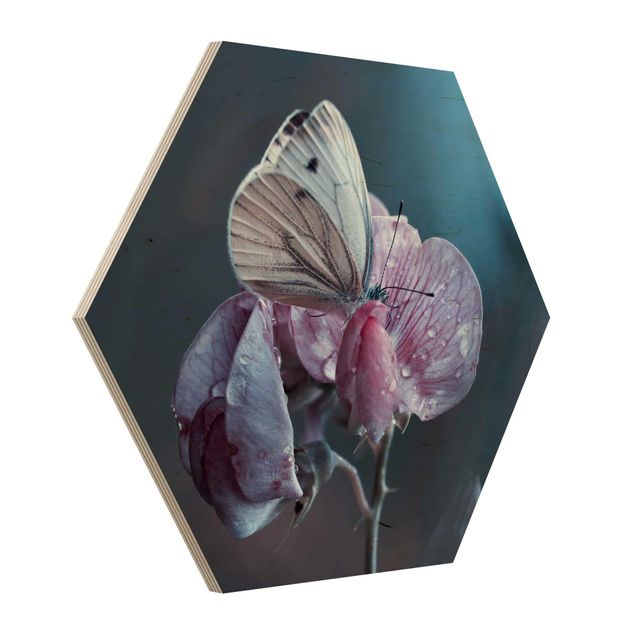 Wood photo prints Butterfly In The Rain