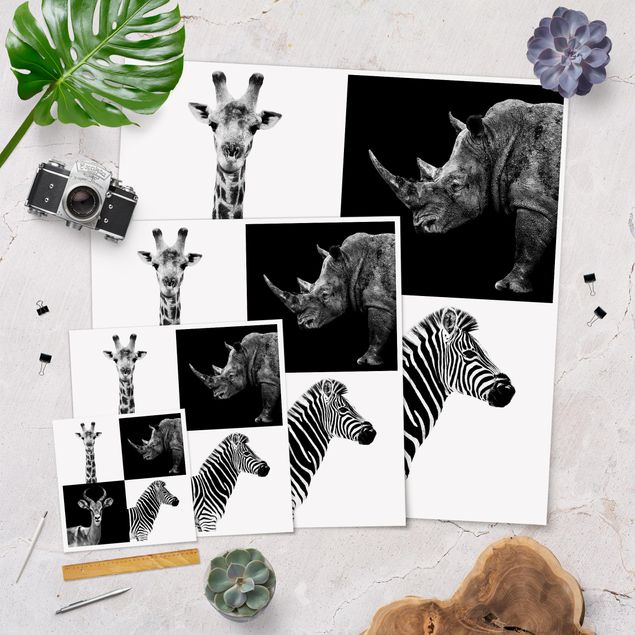 Prints black and white Safari Quartet