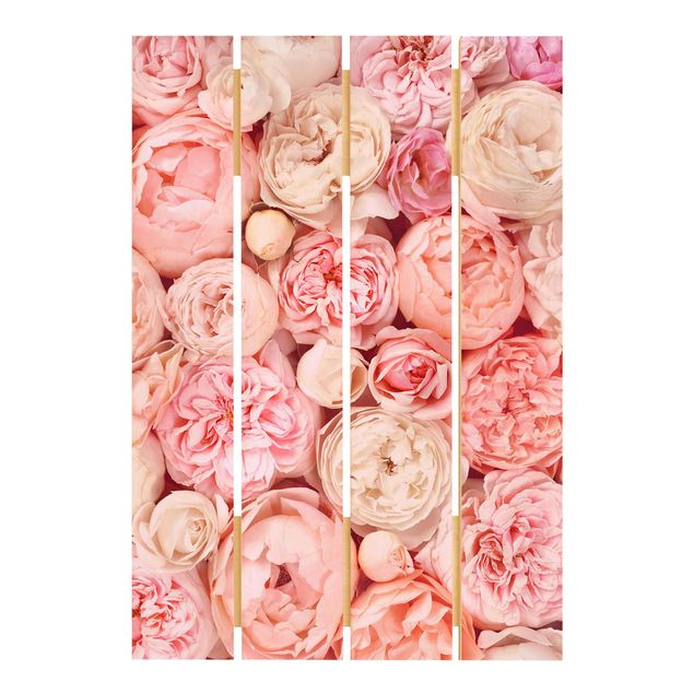 Prints on wood Roses Rosé Coral Shabby