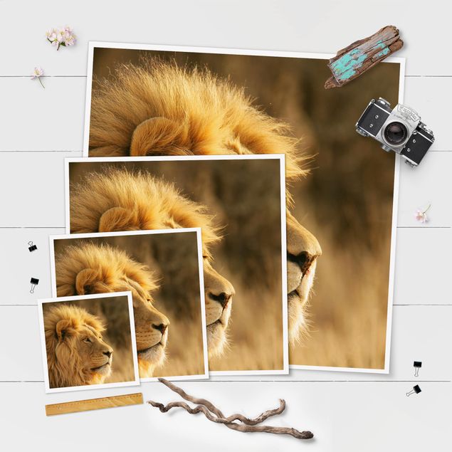 Prints King Lion