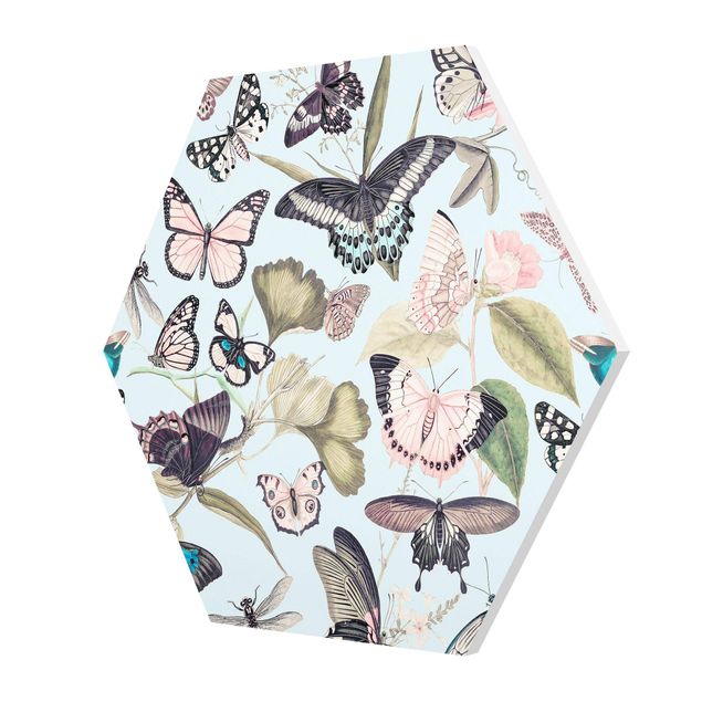 Forex prints Vintage Collage - Butterflies And Dragonflies