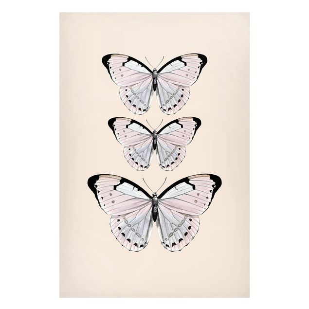 Butterfly print Butterfly On Beige