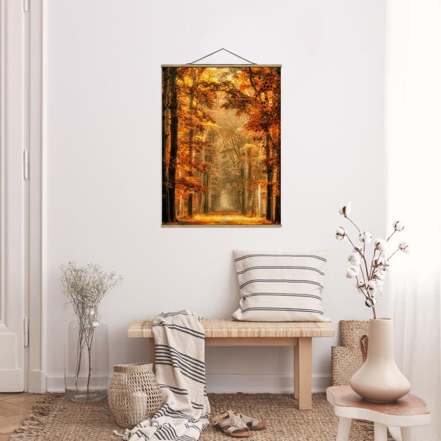 Landscape canvas prints Enchanted Forest In Autumn