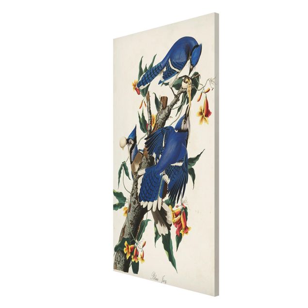 Flower print Vintage Board Blue Jays