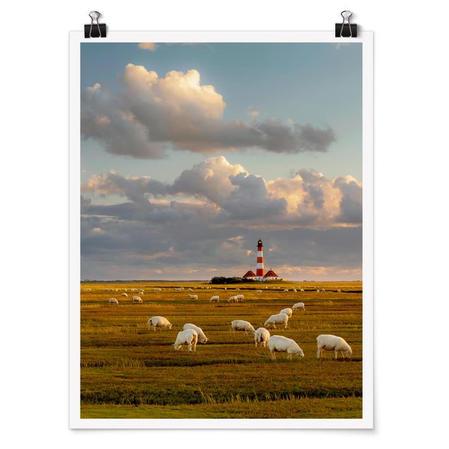 Animal canvas North Sea Lighthouse With Flock Of Sheep