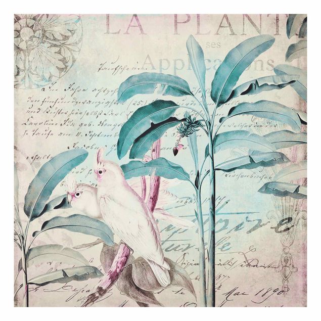 Art prints Colonial Style Collage - Cockatoos And Palm Trees