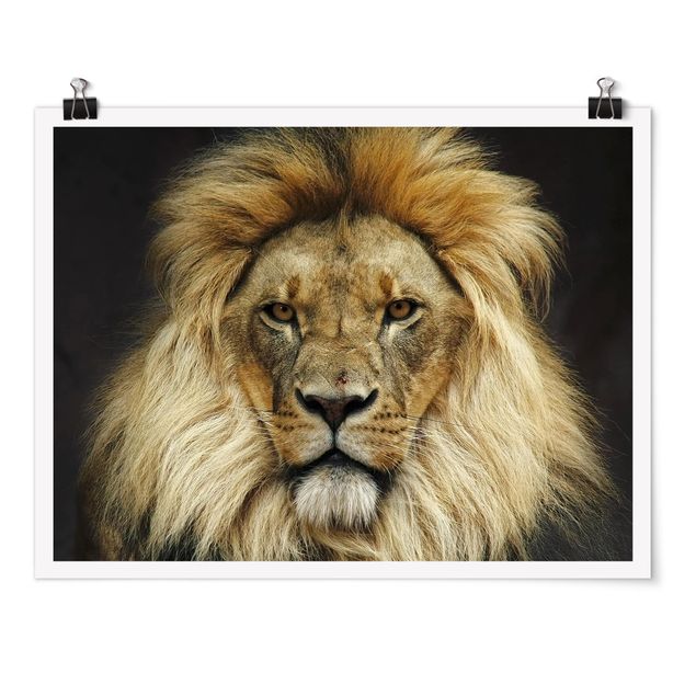 Prints modern Wisdom Of Lion