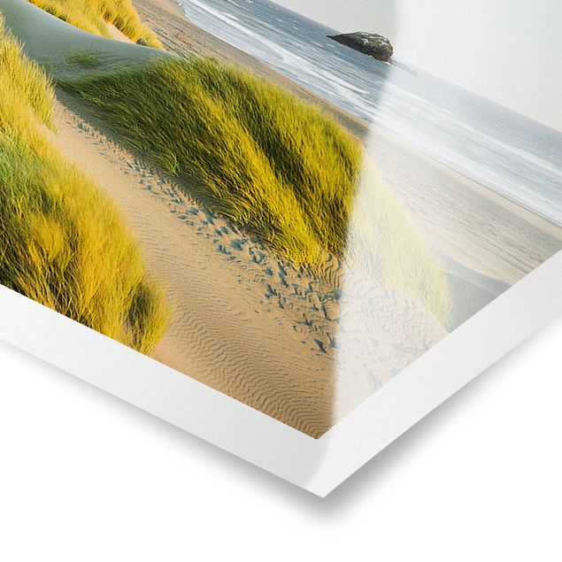 Floral canvas Dunes And Grasses At The Sea