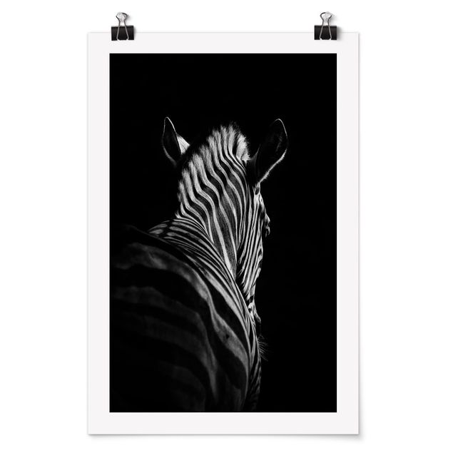 Black and white poster prints Dark Zebra Silhouette