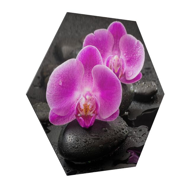 Prints floral Pink Orchid Flower On Stones With Drops