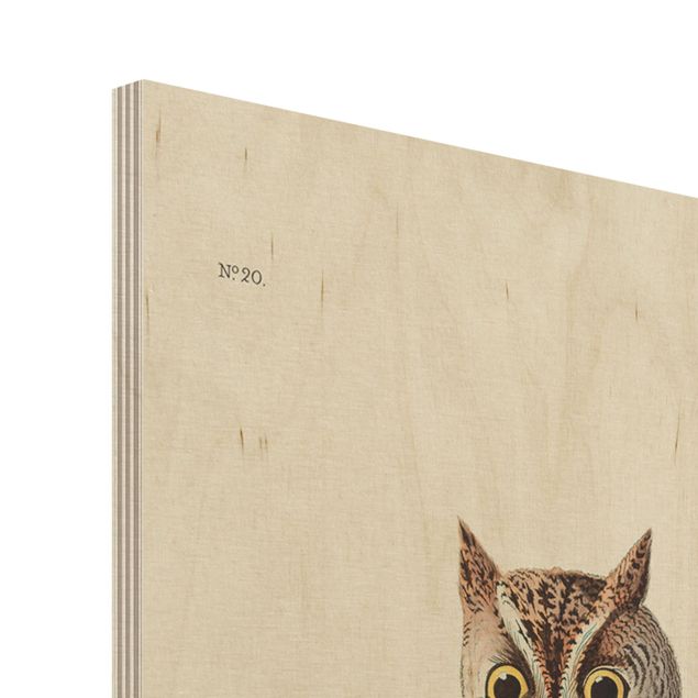 Wood prints Vintage Board Screech Owl