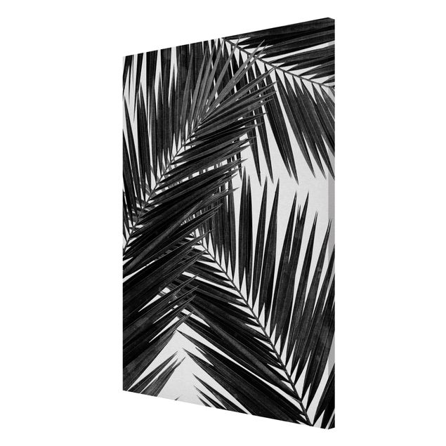 Magnet boards flower View Through Palm Leaves Black And White