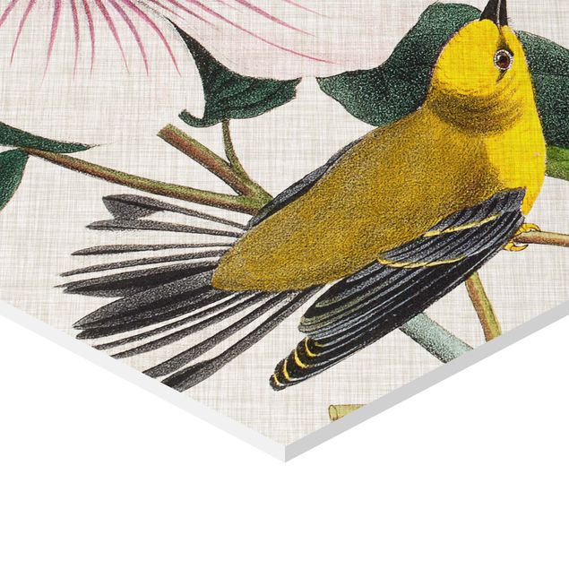 Prints Birds On Linen Set II