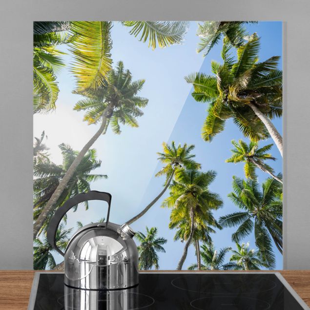 Kitchen Palm Tree Canopy