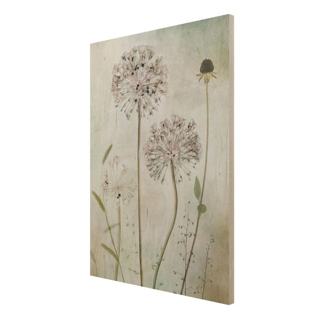 Vintage wood prints Allium flowers in pastel