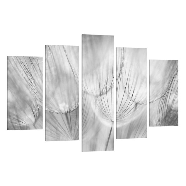 Canvas mountain Dandelion Macro Shot In Black And White
