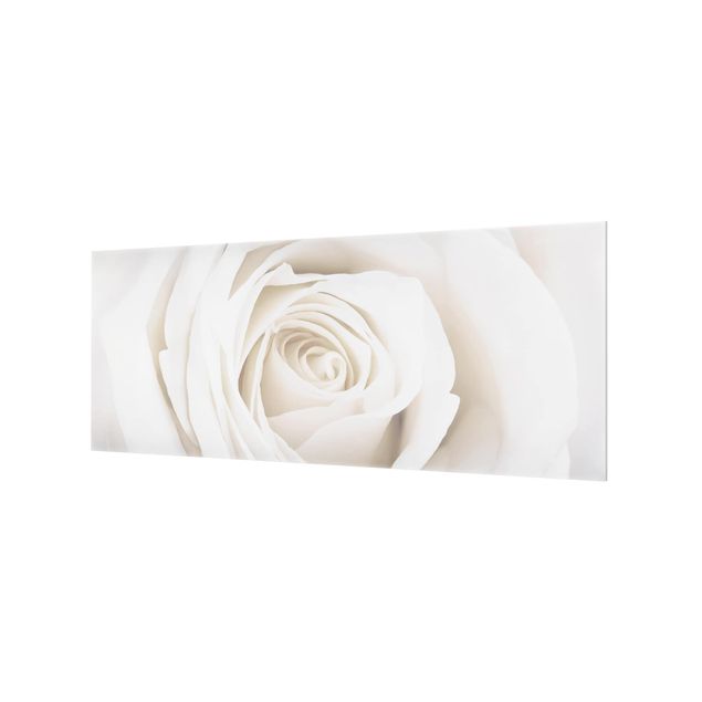 Glass Splashback - Pretty White Rose - Panoramic
