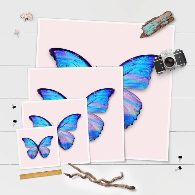 Jonas Loose Holographic Butterfly