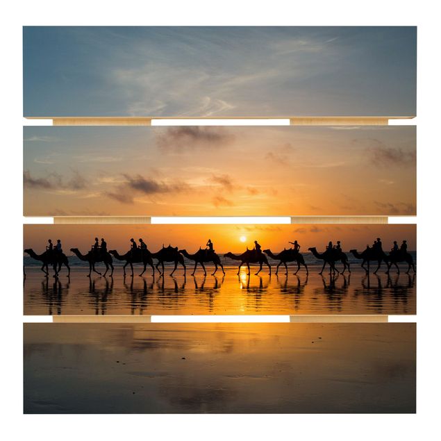 Prints on wood Camels in the sunset