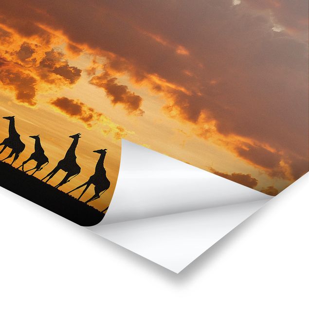 Prints Five Giraffes