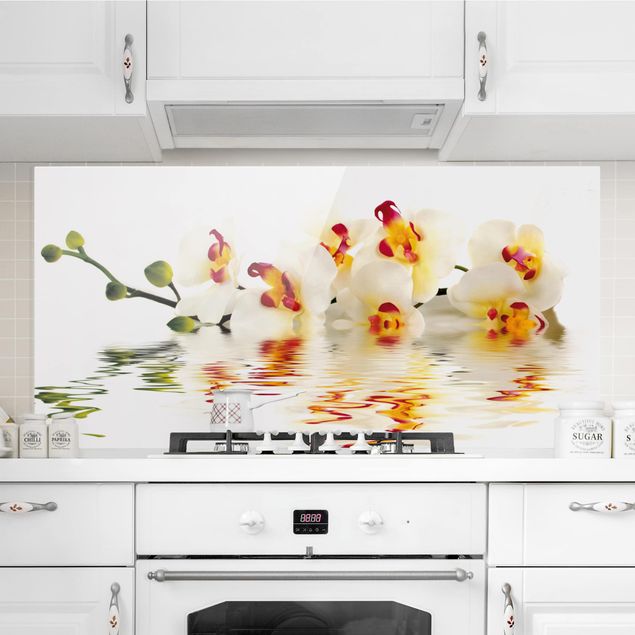 Kitchen Vivid Orchid Waters