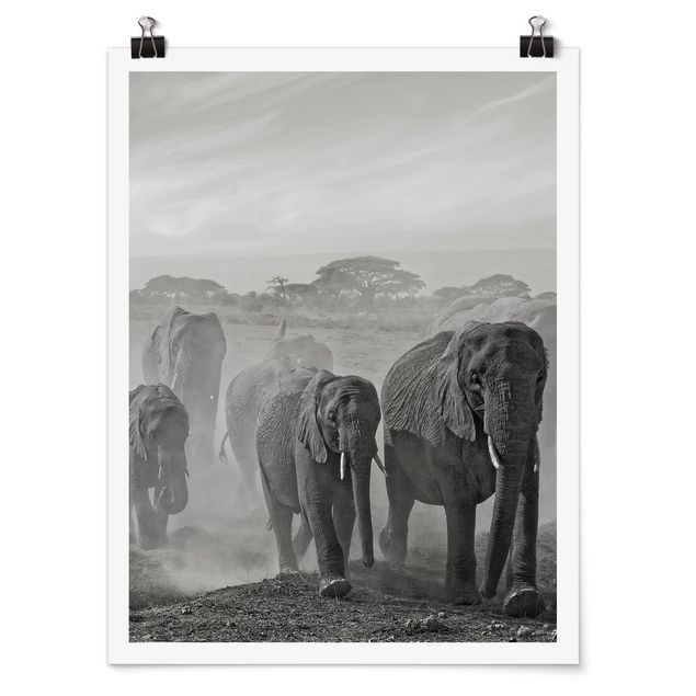 Animal wall art Herd Of Elephants