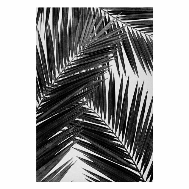 Prints landscape View Through Palm Leaves Black And White