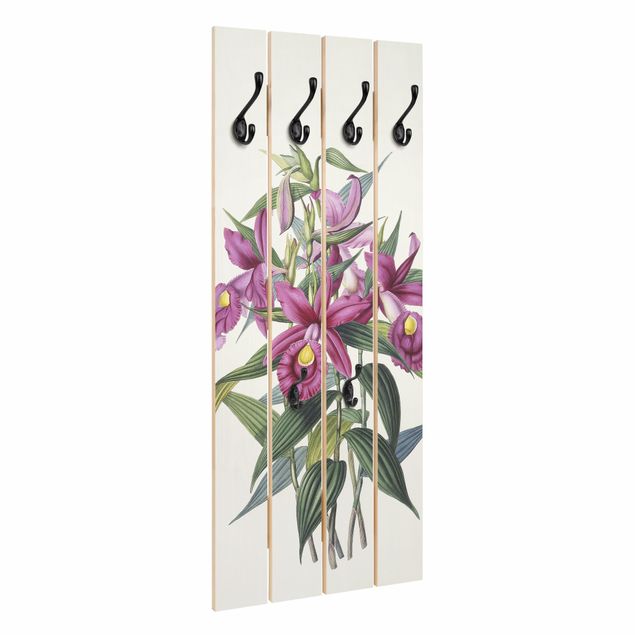 Wall coat hanger Maxim Gauci - Orchid I
