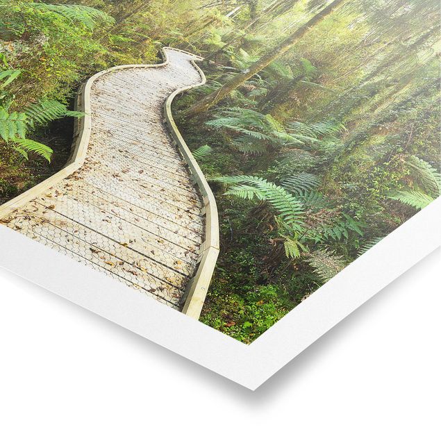 3D wall art Path In The Jungle