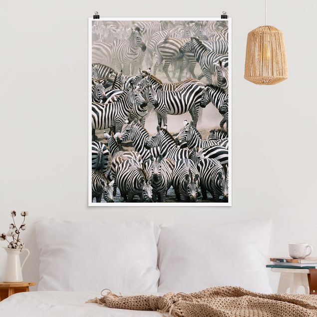 Kitchen Zebra Herd