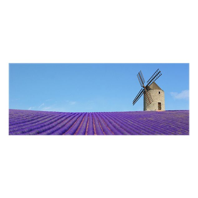 Glass splashback Lavender Fragrance In Provence