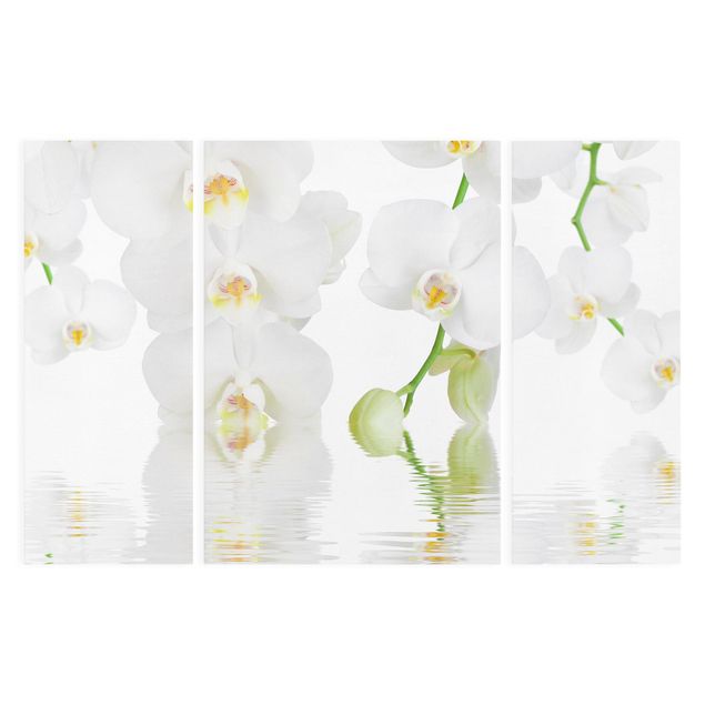 Floral prints Spa Orchid - White Orchid